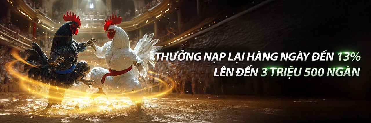Đá Gà Trực Tuyến Hấp Dẫn tại gg8830 Nhà Cái